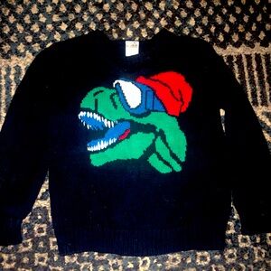Boys Dino sweater
